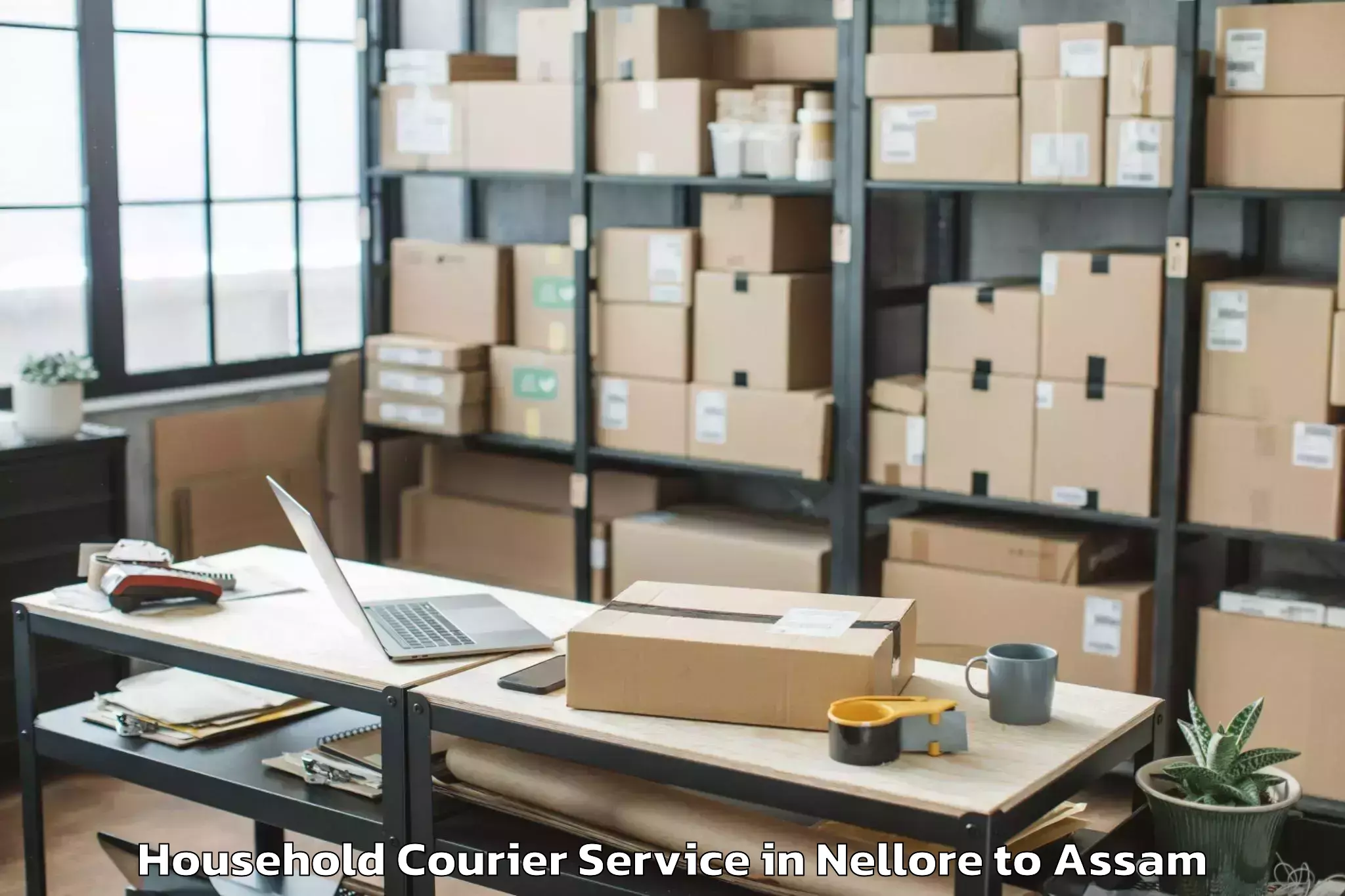 Quality Nellore to Dibrugarh Household Courier